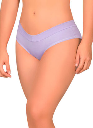 126 Miniboxer con costuras planas y pretina ancha - D'lirio